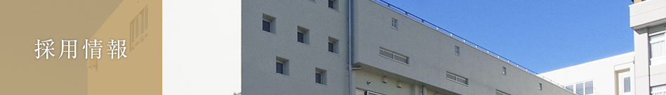 採用情報